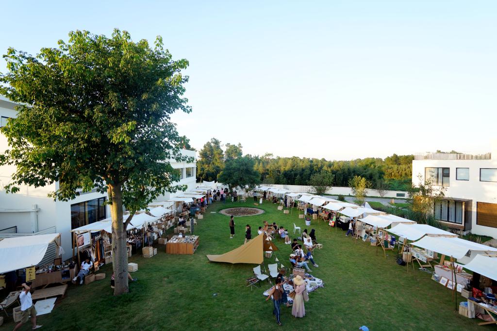 1764583337960891.jpg 1764583337960891.jpg